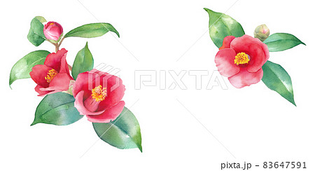 赤いツバキの水彩イラスト。2隅装飾フレーム。バナー。 83647591