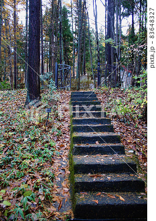 【群馬】秋のロックハート城 紅葉が進む園内 【群馬】秋のロックハート城 紅葉が進む園内 83648327