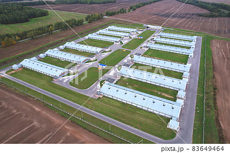 Farm building with cows and pigs in the village, aerial view.  83649464