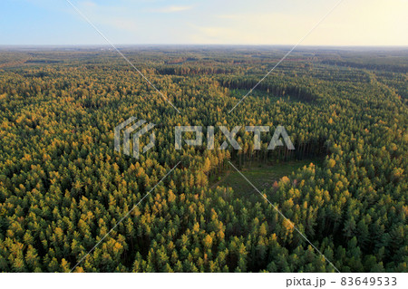Drone view monitoring on felling forest. Quadcopter tracking illegal deforestation. Drone view monitoring on felling forest. Quadcopter tracking illegal deforestation. 83649533