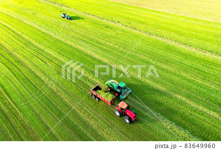 Forage harvester during grass cutting for silage in field.  83649960