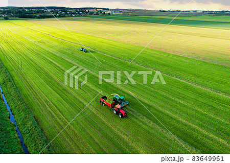 Forage harvester during grass cutting for silage in field.  83649961