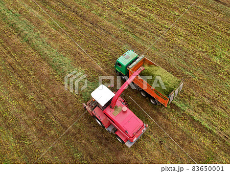 Forage harvester during grass cutting for silage in field. 83650001