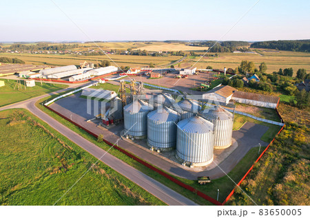 Silo storage at farm. Elevator for storage siliage and grain.  83650005