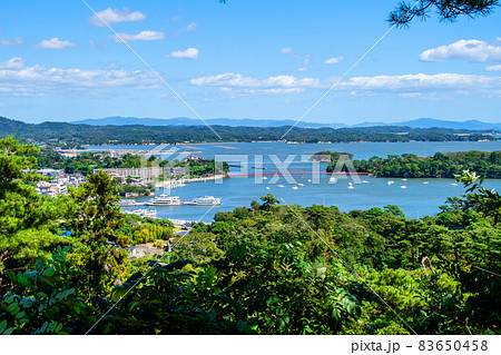 日本遺産　松島　西行戻しの松公園から松島湾を望む 83650458