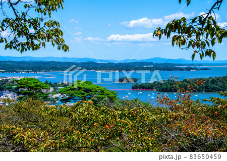 日本遺産　松島　西行戻しの松公園から松島湾を望む 83650459