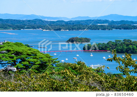日本遺産　松島　西行戻しの松公園　白衣観音展望台から福浦島と翁島 83650460
