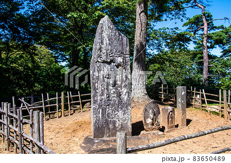 日本遺産　松島　西行戻しの松公園　松と石仏 83650489
