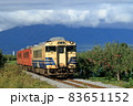 五能線：秋のリンゴ畑を行く普通列車(キハ40系気動車) 83651152