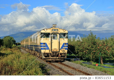五能線：秋のリンゴ畑を行く普通列車(キハ40系気動車) 83651153