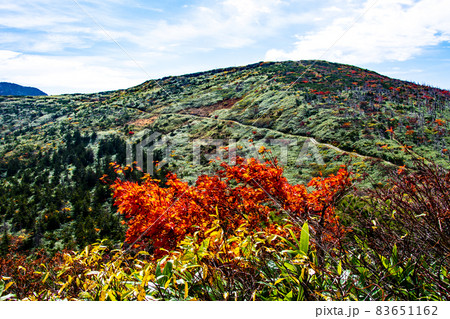蔵王連峰 山形蔵王 紅葉の三宝荒神山登山道と地蔵山 蔵王連峰 山形蔵王 紅葉の三宝荒神山登山道と地蔵山 83651162