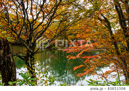 蔵王連峰 山形蔵王 蔵王中央高原 ドッコ沼の湖畔の紅葉と水鏡 蔵王連峰 山形蔵王 蔵王中央高原 ドッコ沼の湖畔の紅葉と水鏡 83651506