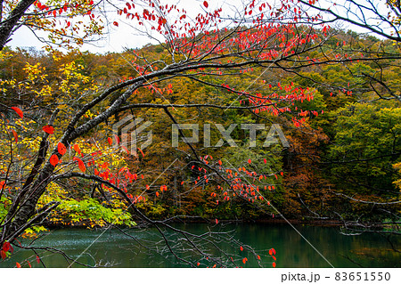 蔵王連峰 山形蔵王 蔵王中央高原 ドッコ沼の湖畔の紅葉と水鏡 蔵王連峰 山形蔵王 蔵王中央高原 ドッコ沼の湖畔の紅葉と水鏡 83651550