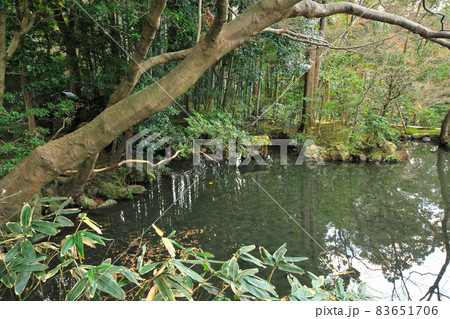 南禅寺塔頭 天授庵庭園 南禅寺塔頭 天授庵庭園 83651706