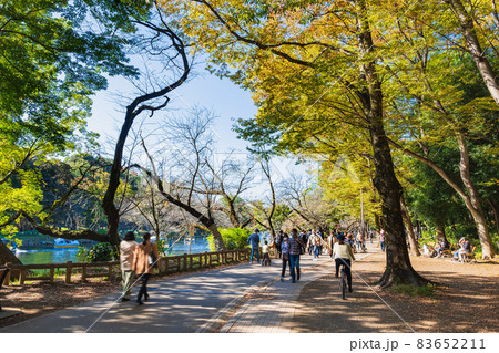 井の頭公園　秋晴れの休日 83652211