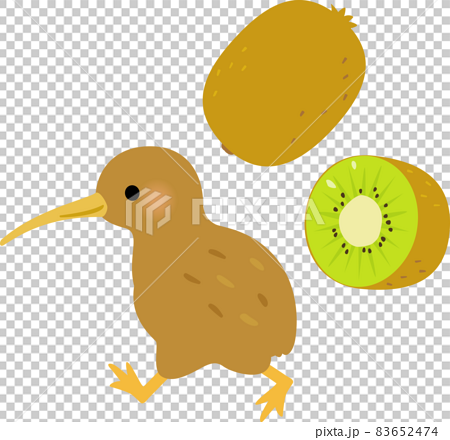 Kiwi and kiwi fruit - Stock Illustration [83652474] - PIXTA