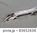 写真素材：海辺の砂場に佇む流木1 83652636