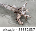 写真素材：海辺の砂場に佇む流木2 83652637