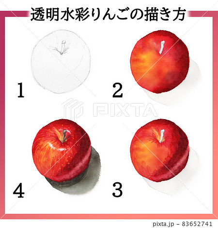 アナログ水彩りんごの描き方手順 83652741