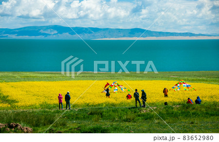 中国青海省　青海湖　中国最大の塩水湖　湖畔の菜の花畑と観光客 83652980