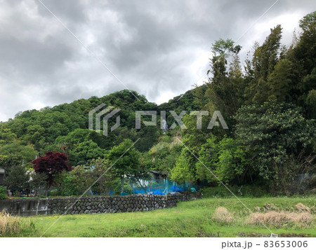 静岡県伊豆市大平の旭滝 83653006