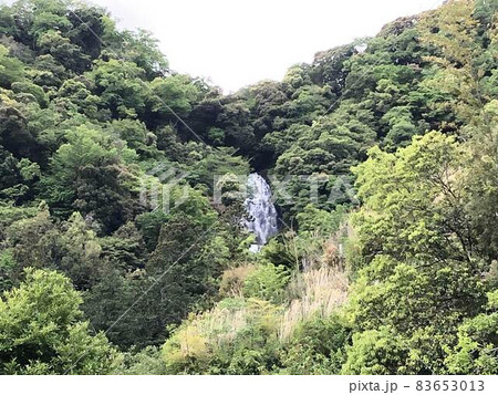 静岡県伊豆市大平の旭滝 83653013