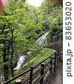 静岡県伊豆市大平の旭滝 83653020