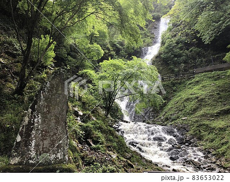 静岡県伊豆市大平の旭滝 静岡県伊豆市大平の旭滝 83653022