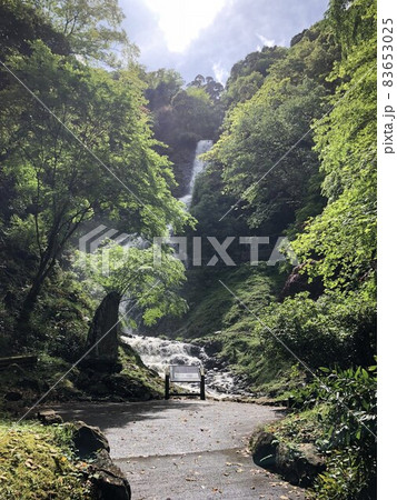 静岡県伊豆市大平の旭滝 静岡県伊豆市大平の旭滝 83653025