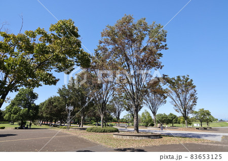 埼玉県熊谷市の熊谷スポーツ文化公園の風景 83653125