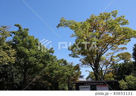 埼玉県熊谷市の熊谷スポーツ文化公園の風景 83653131