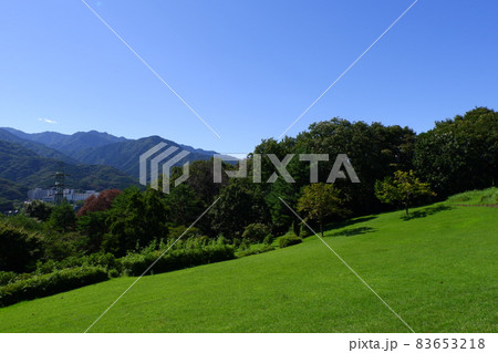 七沢森林公園の展望台からの眺め 83653218