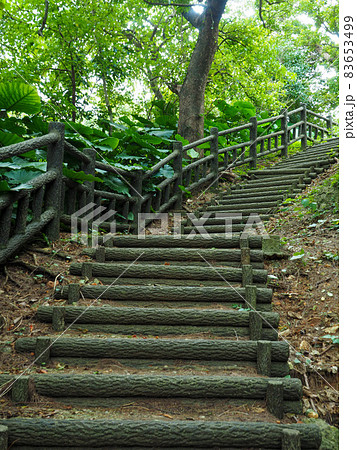 浦添大公園 浦添大公園 83653499