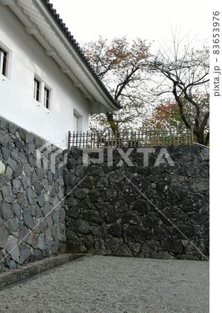 山形霞城公園　山形城　旧済生館 83653976