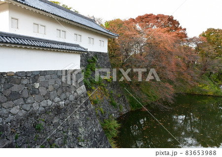 山形霞城公園　山形城　旧済生館 83653988