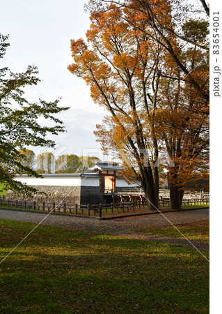 山形霞城公園 山形城 旧済生館 山形霞城公園 山形城 旧済生館 83654001