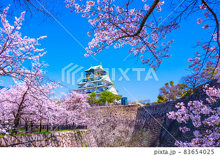 大阪城と西の丸庭園の桜 大阪城と西の丸庭園の桜 83654025