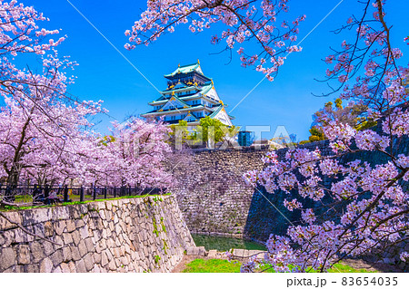 大阪城と西の丸庭園の桜 83654035