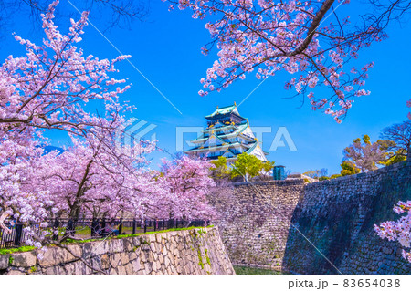 大阪城と西の丸庭園の桜 83654038