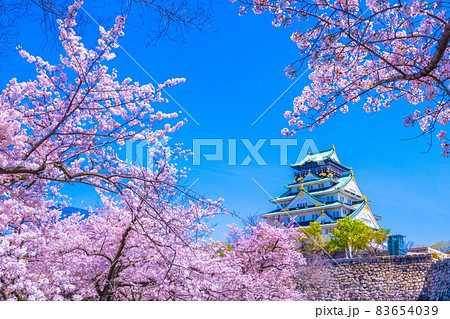 大阪城と西の丸庭園の桜 83654039