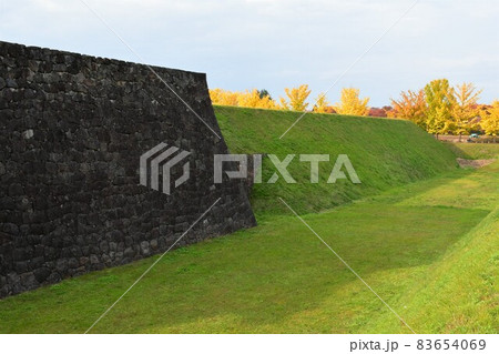 山形霞城公園　山形城　旧済生館 83654069