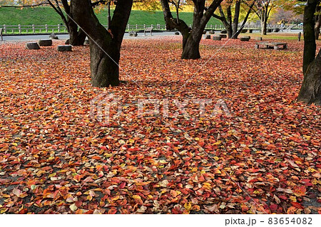 山形霞城公園　山形城　旧済生館 83654082