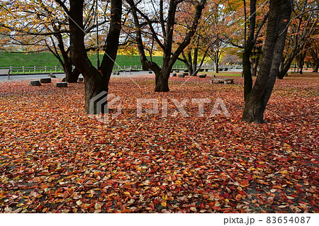 山形霞城公園　山形城　旧済生館 83654087