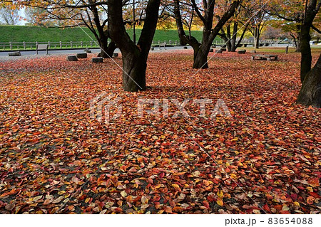 山形霞城公園　山形城　旧済生館 83654088
