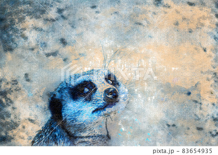 Portrait of a meerkat in the wild. The animal turns around and looks at you. 83654935