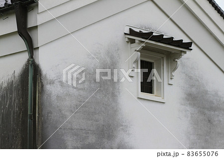 7D薬師寺2018年観光その8 7D薬師寺2018年観光その8 83655076