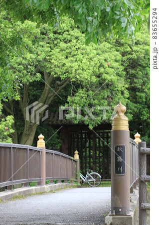 7D唐招提寺2018年観光その20 83655294