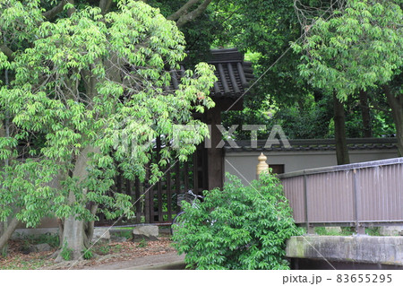7D唐招提寺2018年観光その21 7D唐招提寺2018年観光その21 83655295
