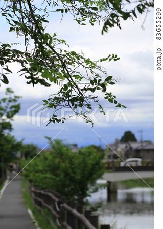 7D唐招提寺2018年観光その24 7D唐招提寺2018年観光その24 83655299