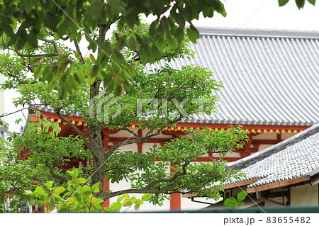 7D薬師寺2018年観光その56 83655482